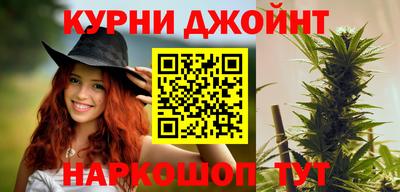 гидра Малгобек