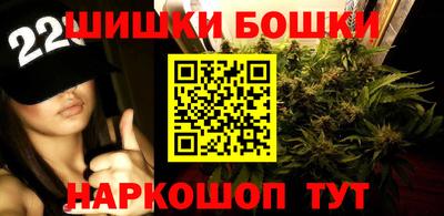 индика Мариинск