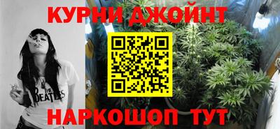 гидра Малгобек