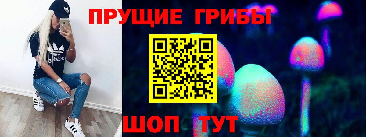 Уссурийск  Галлюциногенные грибы GOLDEN TEACHER  Вход с VPN 